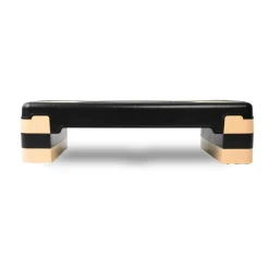 Aerobic Stepper