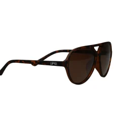 Boston Breeze Sunglasses