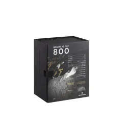 Bright as Day 800 Headlamp