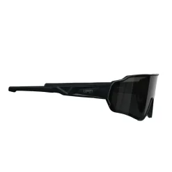 Chicago Chic Sunglasses
