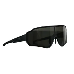 Chicago Chic Sunglasses