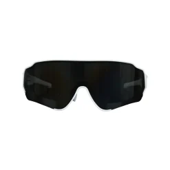 Chicago Chic Sunglasses