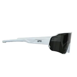 Chicago Chic Sunglasses
