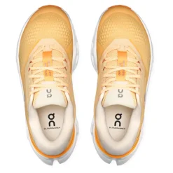 Cloudrunner 3