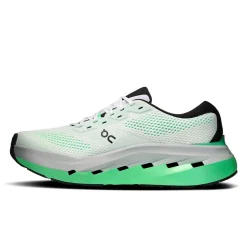 Cloudrunner 3 Max