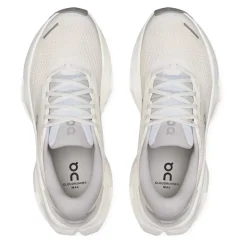 Cloudrunner 3 Max