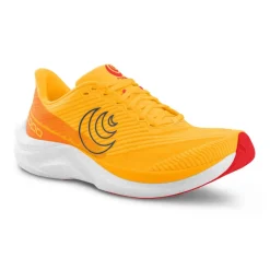 Cyclone 3
