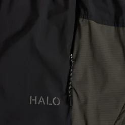 Division Shorts