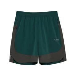 Division Shorts
