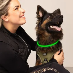 Dog LED Band USB