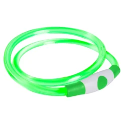 Dog LED Band USB