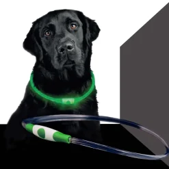 Dog LED Band USB