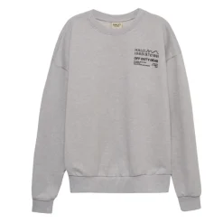 Graphic Boxy Crew