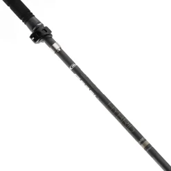 Hybrid Carbon