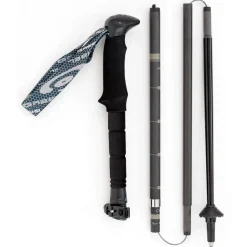 Hybrid Carbon