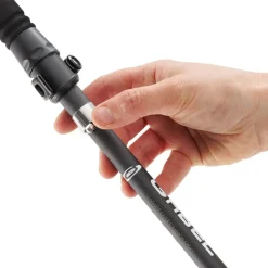Hybrid Carbon