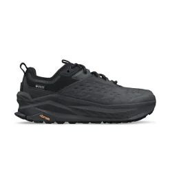 Olympus 6 Hike Low GTX