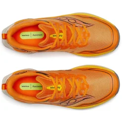 Peregrine 16