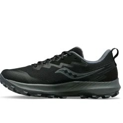 Peregrine 14 GTX