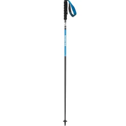 Pulsar Carbon Poles