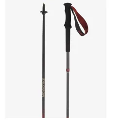 Quest Carbon Foldable