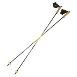 Running Poles Carbon Z Fixed