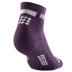 The Run Socks Low Cut V4