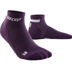 The Run Socks Low Cut V4