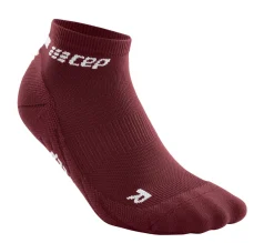 The Run Socks Low Cut V4
