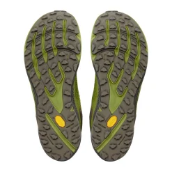 Timp 6 GTX