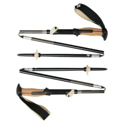 Trail Vista FLZ Trekking Poles