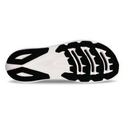 Vanish Carbon 2